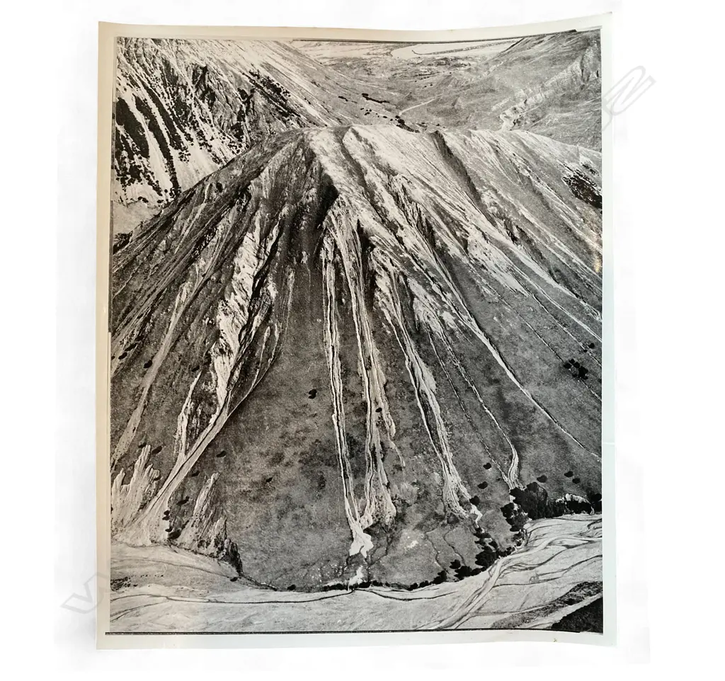 John Johns (1924-99) 'Mt Fitzwilliam Harper Avoca forest, Canterbury’, Image 1++